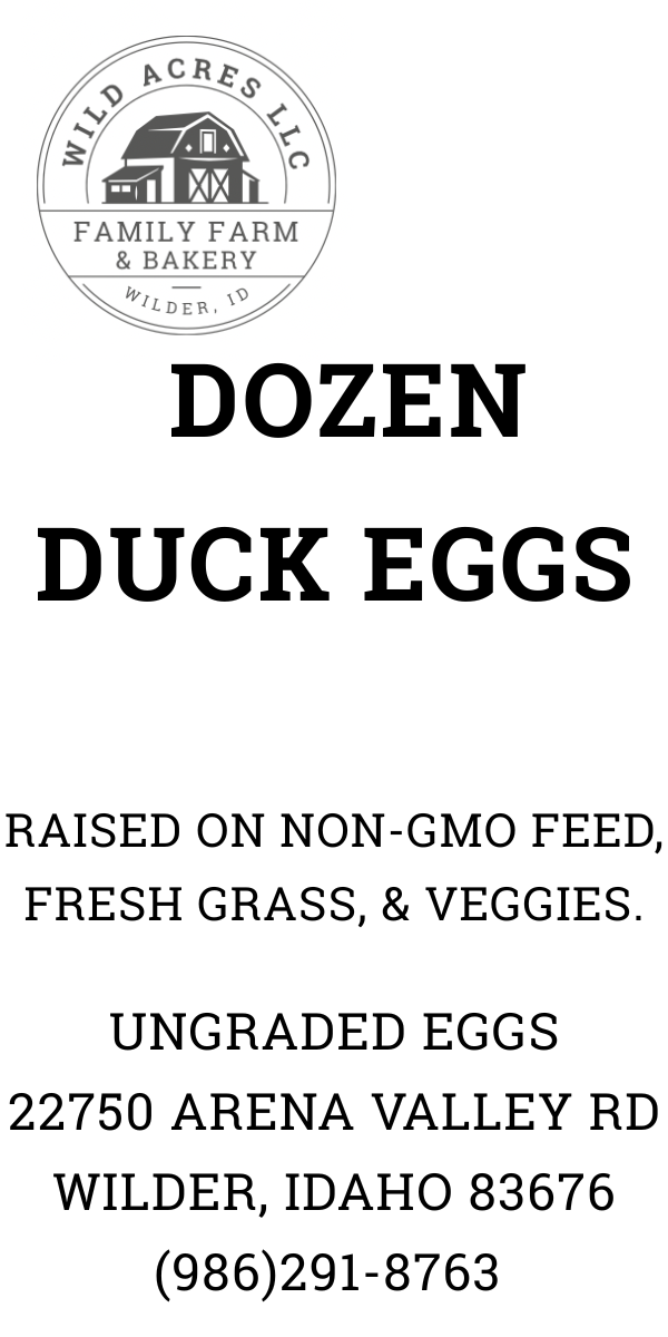Duck Eggs